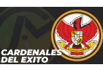 Cardenales del Exito - El tren de cardenales