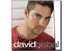 David Bisbal - Ave Maria