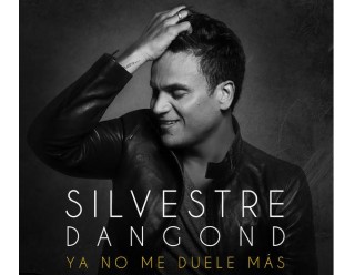 Silvestre Dangond - Ya no me duele mas